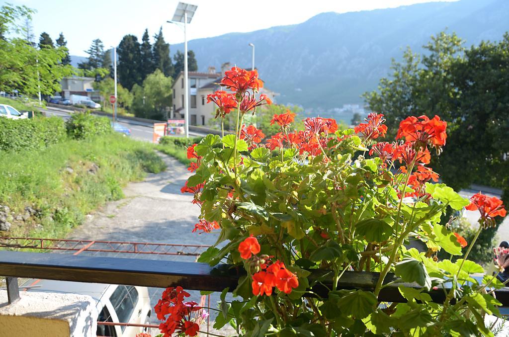 Apartment Luka Kotor Exterior foto